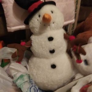 Music playing Snowman lights blink to music